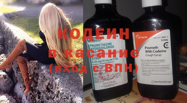 дмт Пыталово