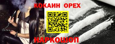 мдпв Камышлов
