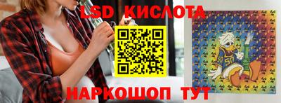 мдпв Камышлов