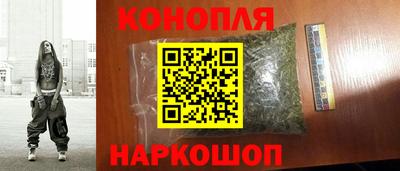 мдпв Камышлов