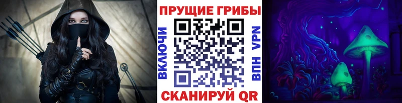 OMG как войти  Тула  Галлюциногенные грибы Psilocybine cubensis 