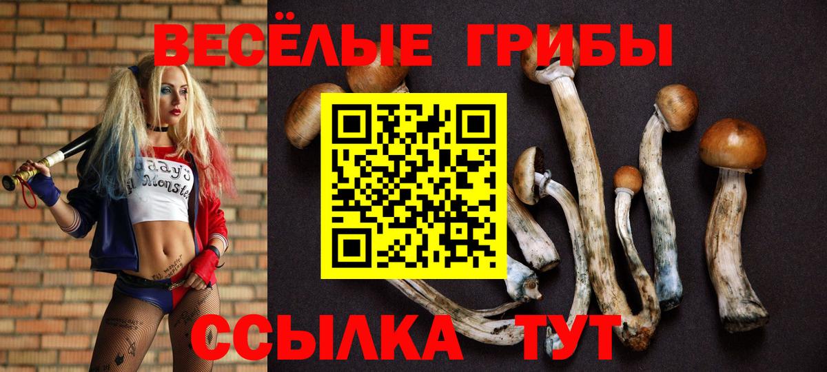 Псилоцибиновые грибы MAGIC MUSHROOMS  Вход с VPN  Тула  Псилоцибиновые грибы Cubensis 